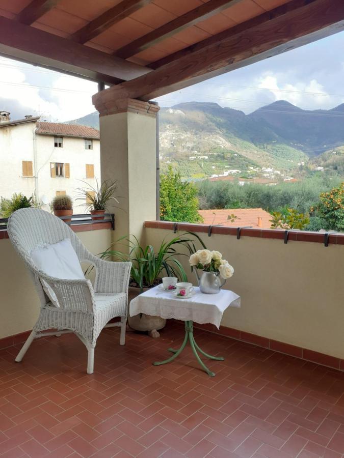 Vila Rustico Degli Ulivi Vallecchia Exteriér fotografie
